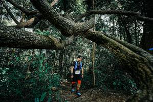 BIB: 
                            <button type="button" onclick="openModal(25706017)" class="btn btn-primary btn-sm float-right btn-popup" data-toggle="modal" data-target=".modal-high-quality">
                        <i class="fas fa-shopping-cart"></i> Add to Cart
                    </button>
                                            <button type="button" onclick="isThisMe(25706017, true)" class="btn btn-success btn-sm float-right btn-popup btn-isme hidden" data-toggle="tooltip" data-placement="bottom" title="นี่คือรูปของคุณใช่ไหม คลิกที่นี่เพื่อเอาเข้าอัลบั้ม">
                        <i class="fas fa-plus"></i> Add to album
                    </button>
                    <button type="button" onclick="isThisMe(25706017, false)" class="btn btn-warning btn-sm float-right btn-popup btn-isnotme hidden">
                        <i class="fas fa-ban"></i> Remove from album
                    </button>